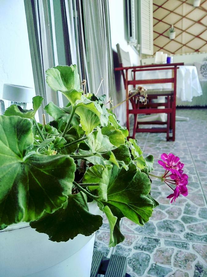 Polymnia'S Apartment Матала Экстерьер фото
